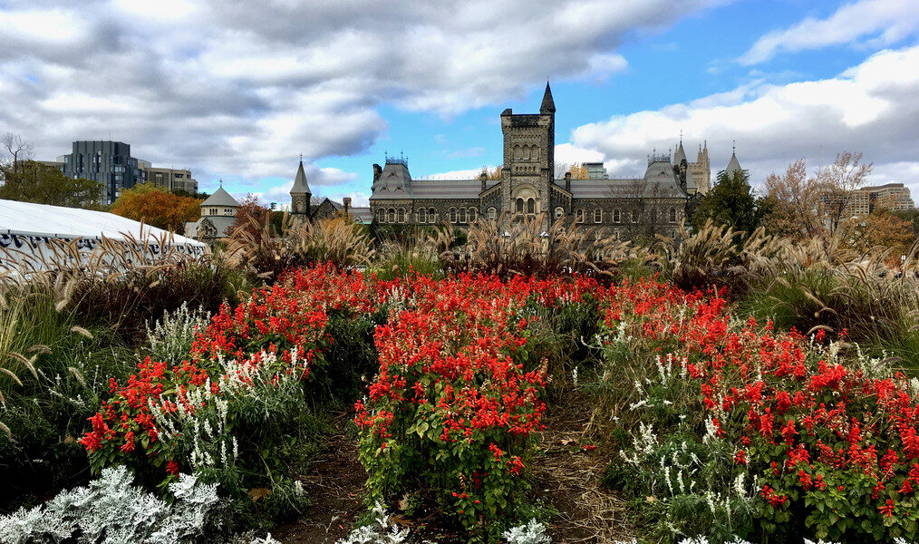 University College behind a large bed of red flowers